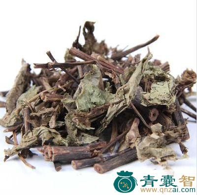 中药材火炭星图片