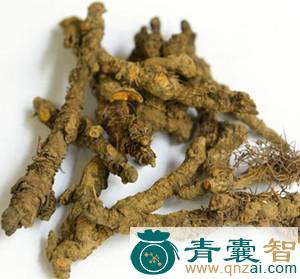 中药材火焰子图片