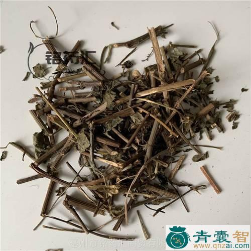 中药材火眼丹图片