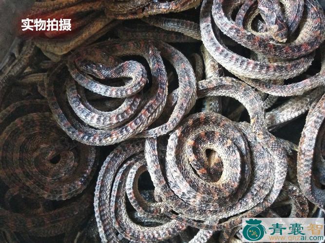 中药材火赤炼图片
