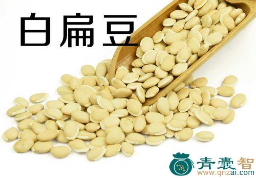 中药材火镰扁豆图片