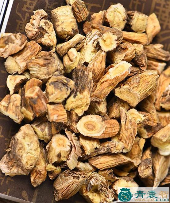 中药材灯笼大秦艽图片