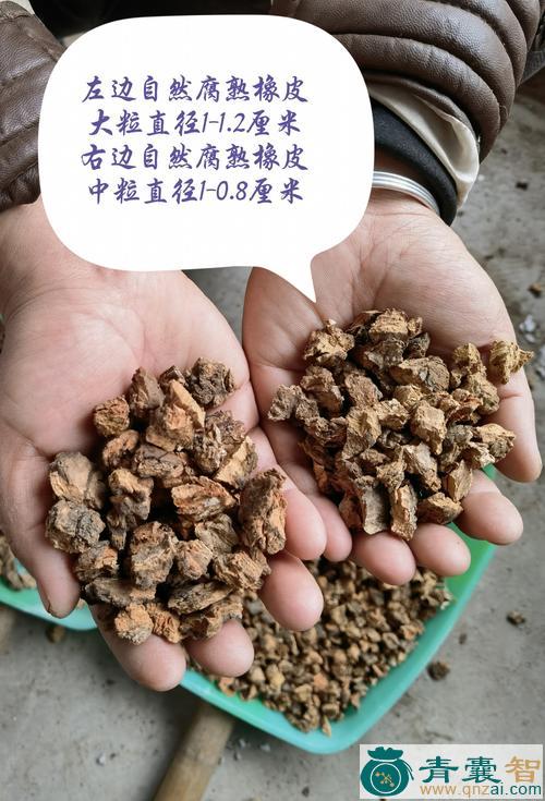 灰象皮的性状性味归经以及功效用法和注意事项-青囊智