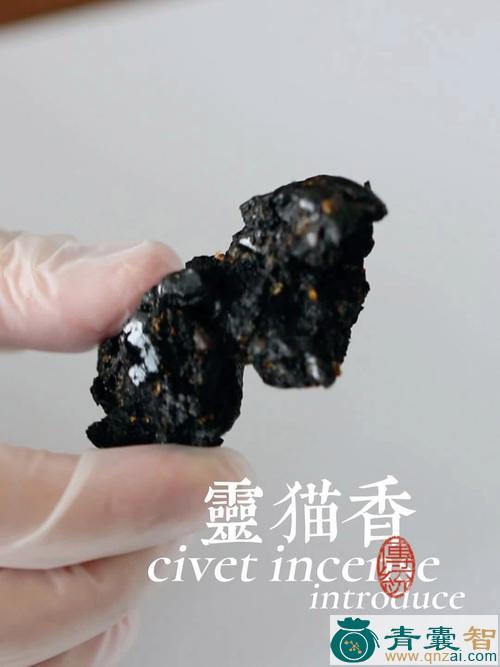 中药材灵猫香图片