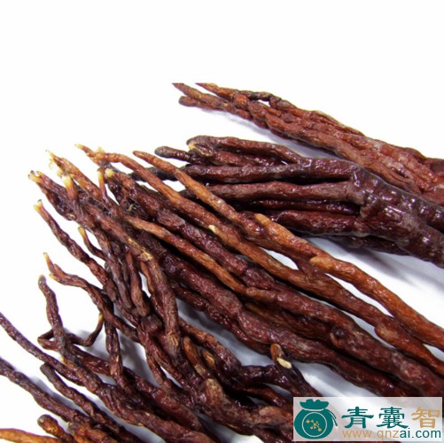 中药材灵芝角图片