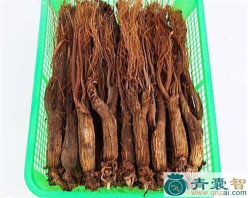 中药材炙红芪图片