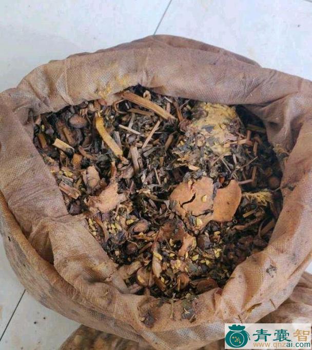 中药材烂布渣图片