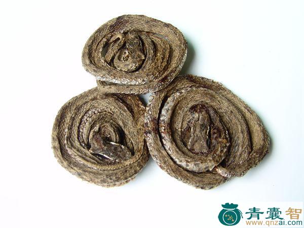 中药材烂肚腹虺图片