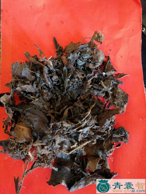 烂茶叶的-青囊智