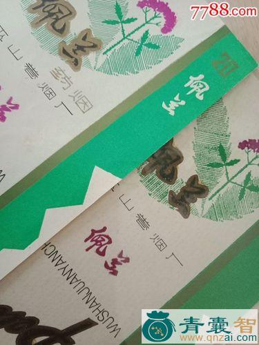 烟盒草的性状性味归经以及功效用法-青囊智
