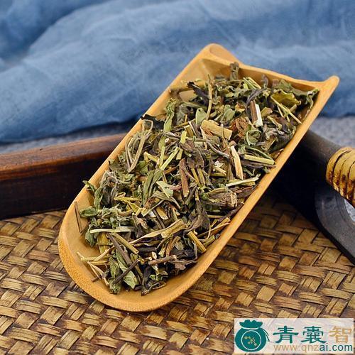 中药材烧金草图片