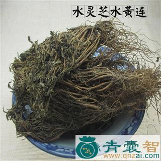 中药材热水莲图片