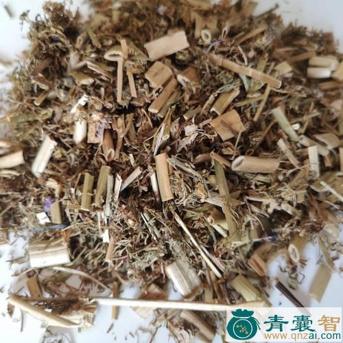 中药材燕了草图片