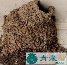 中药材燕窠土图片