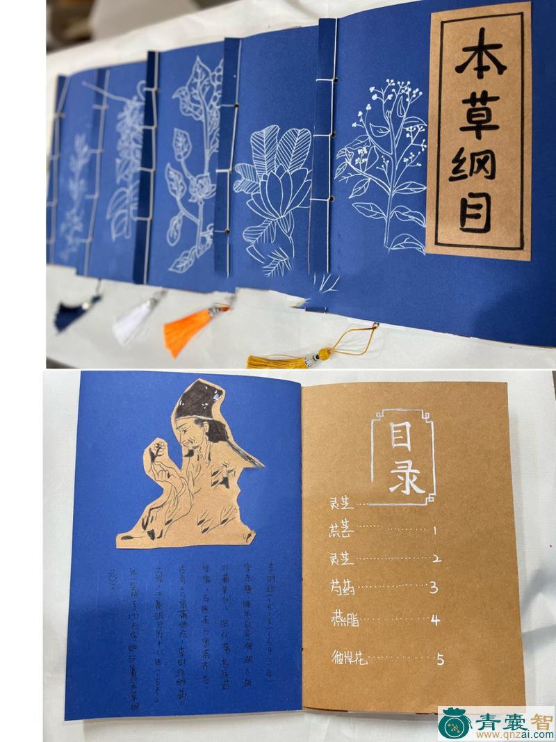 中药材燕脂豆图片