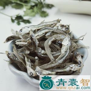 燕鱼的性味归经以及功效用法-青囊智