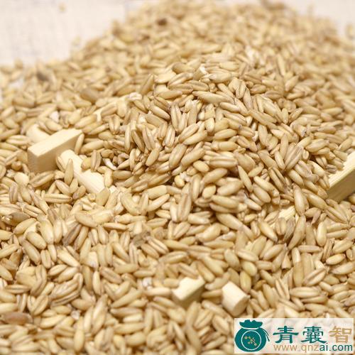 燕麦的性味归经以及功效用法和注意事项-青囊智