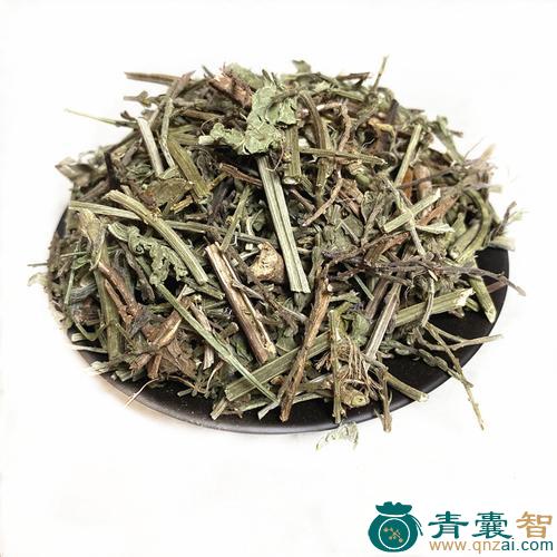 中药材爆仗草图片