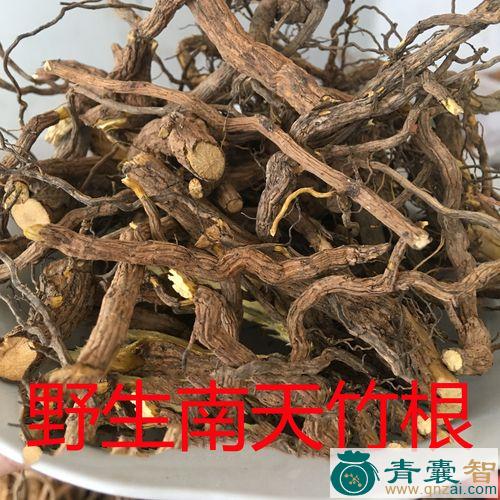 中药材爆竹子图片