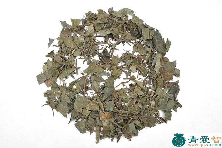 中药材爬地茶图片