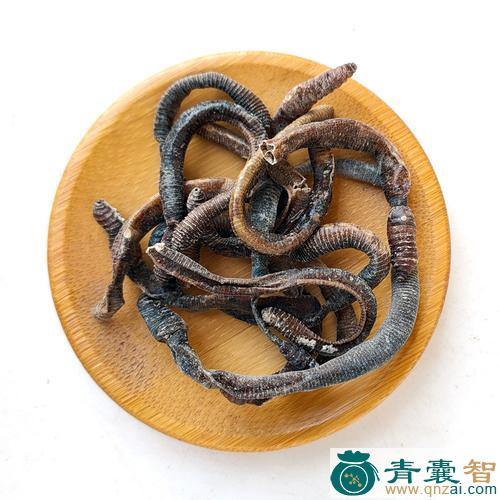 中药材爬地龙图片