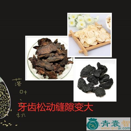 中药材牙陷药图片