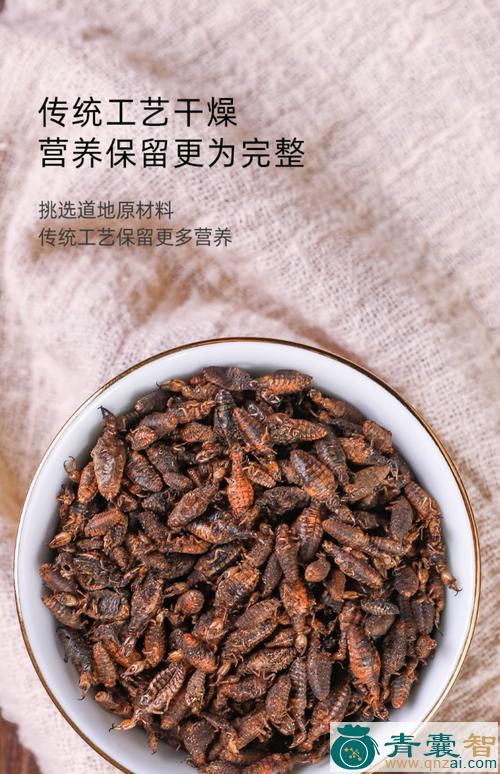 中药材牛图片