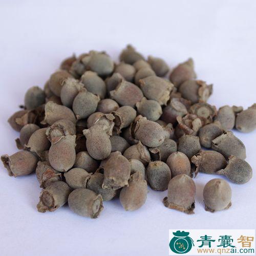 中药材牛乸稔图片