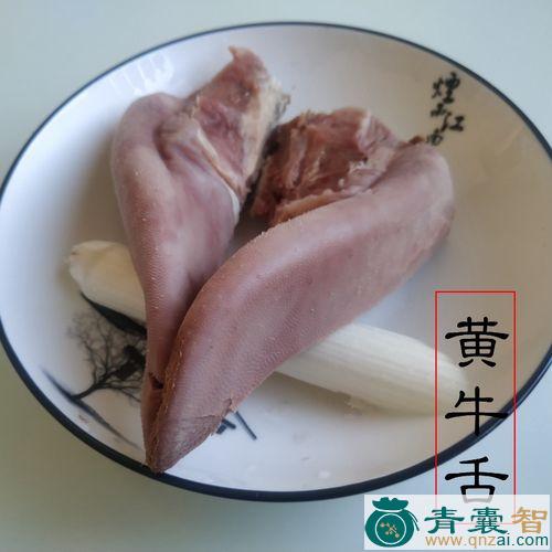 中药材牛口舌图片