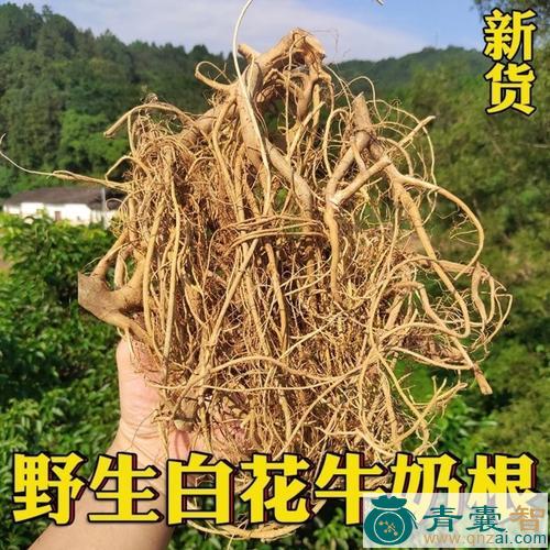 中药材牛奶木图片