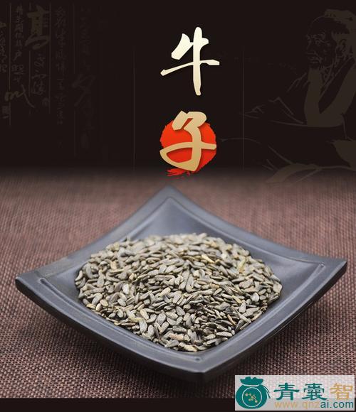 中药材牛子图片