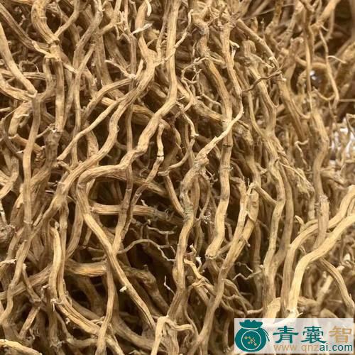 中药材牛尾菜图片