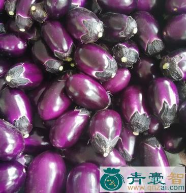 中药材牛心茄子图片