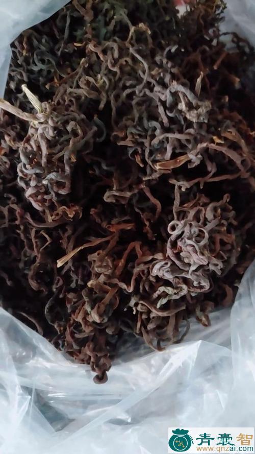 中药材牛毛广东图片