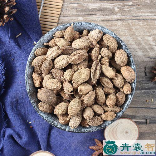 中药材牛牯缩砂图片