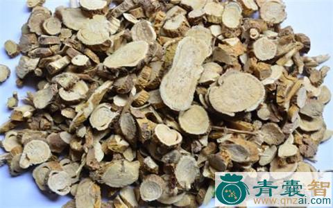 牛皮灶岸的性状性味归经以及功效用法和注意事项-青囊智
