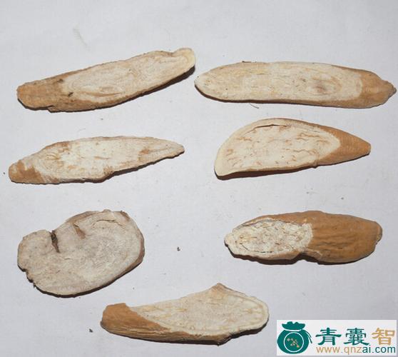 中药材牛皮蕊图片