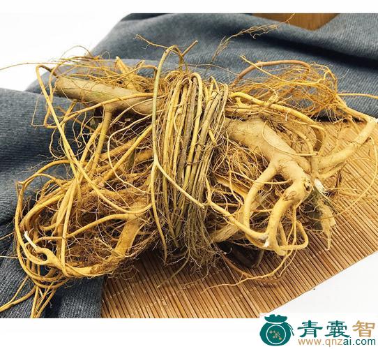 中药材牛筋树根图片