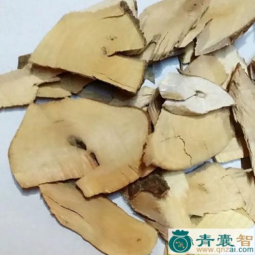 中药材牛耳枫根图片
