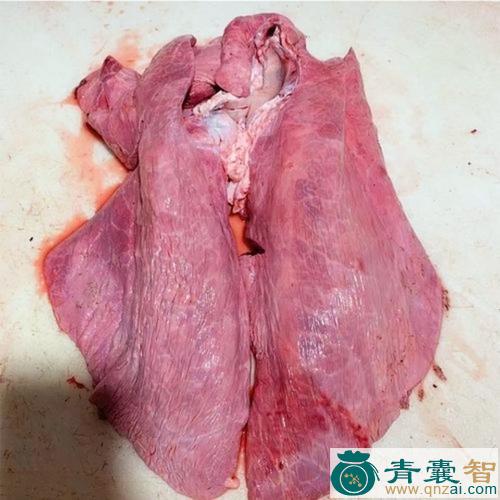 中药材牛肺图片