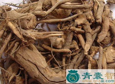 中药材牛胆参图片