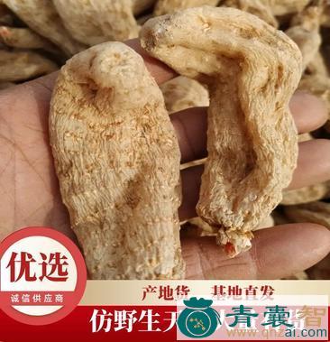 中药材牛解天麻图片