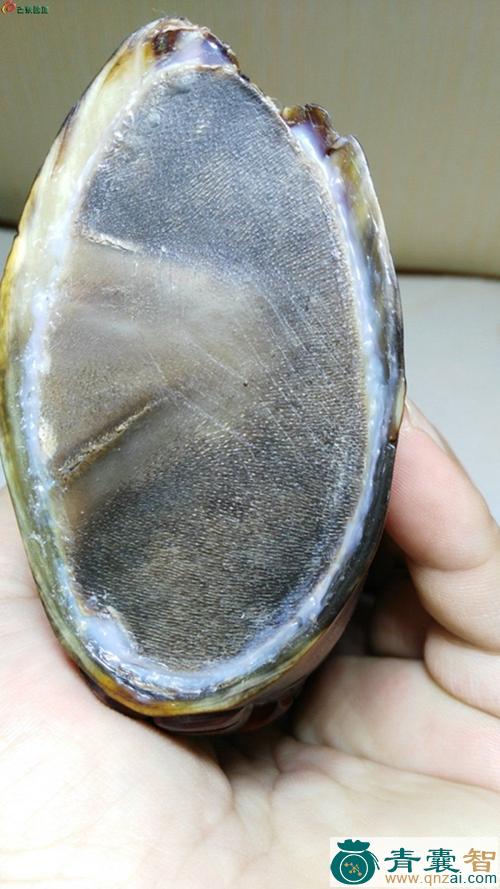 中药材牦牛角图片