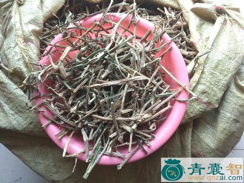 中药材牵藤瓜图片