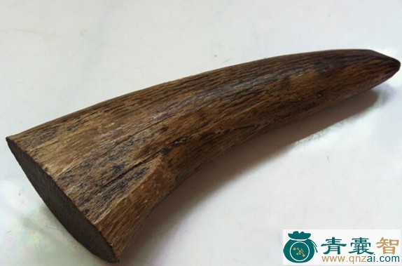 中药材犀牛角图片