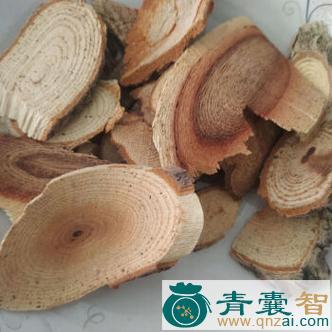 中药材犁头南枫藤图片