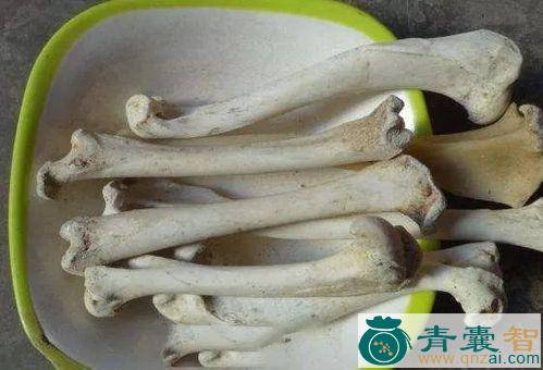 中药材犬骨图片