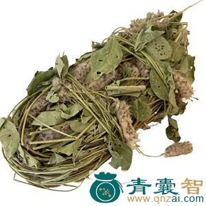 中药材狐狸尾图片