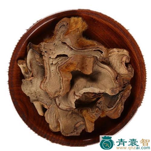 中药材狗嗽图片