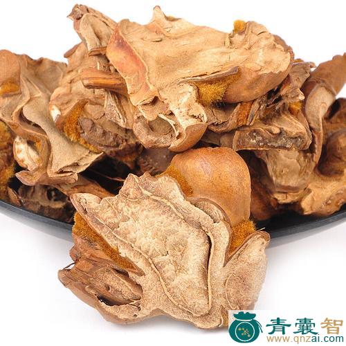 中药材狗头泡图片